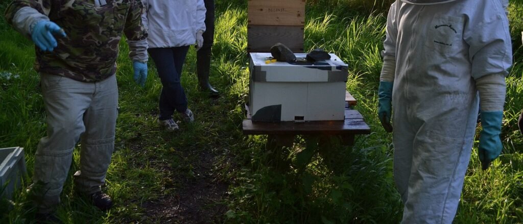 Photo of beekeepers in bee suits and gloves gathered around a nuc box during a beekeeping association apiary session