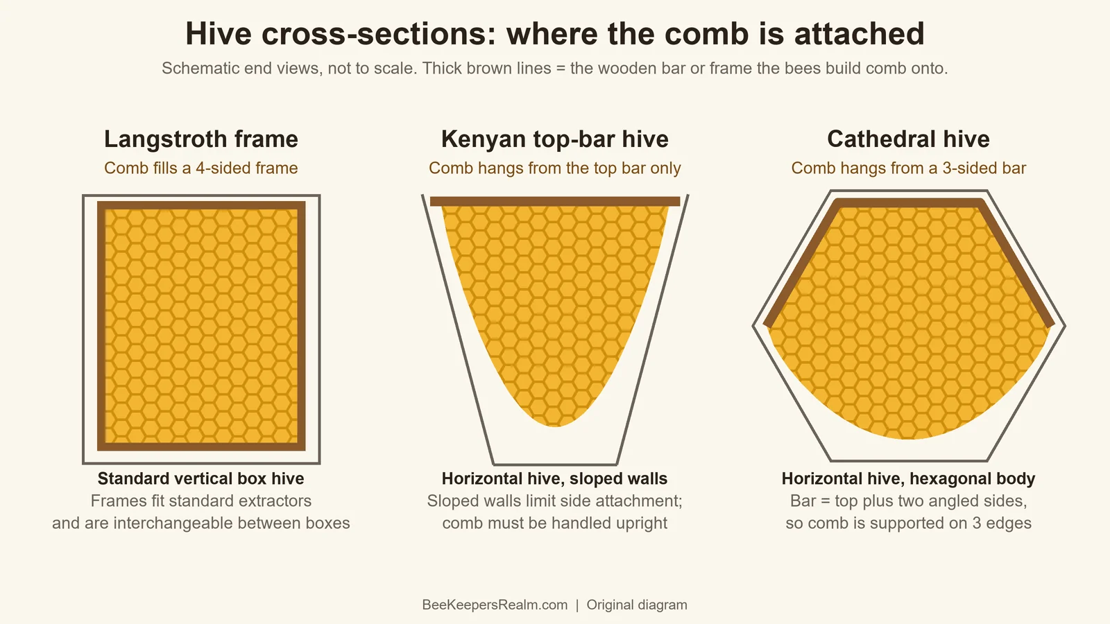 Diagram comparing end-view cross-sections of a Langstroth frame, a Kenyan top-bar hive and a hexagonal Cathedral hive, showing where comb attaches to each