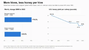 Chart: world beehives rose 76.3% and honey production 45.8% from 2000 to 2022, while U.S. honey yield per colony fell from 80.2 lb in 1993 to 48 lb in 2025