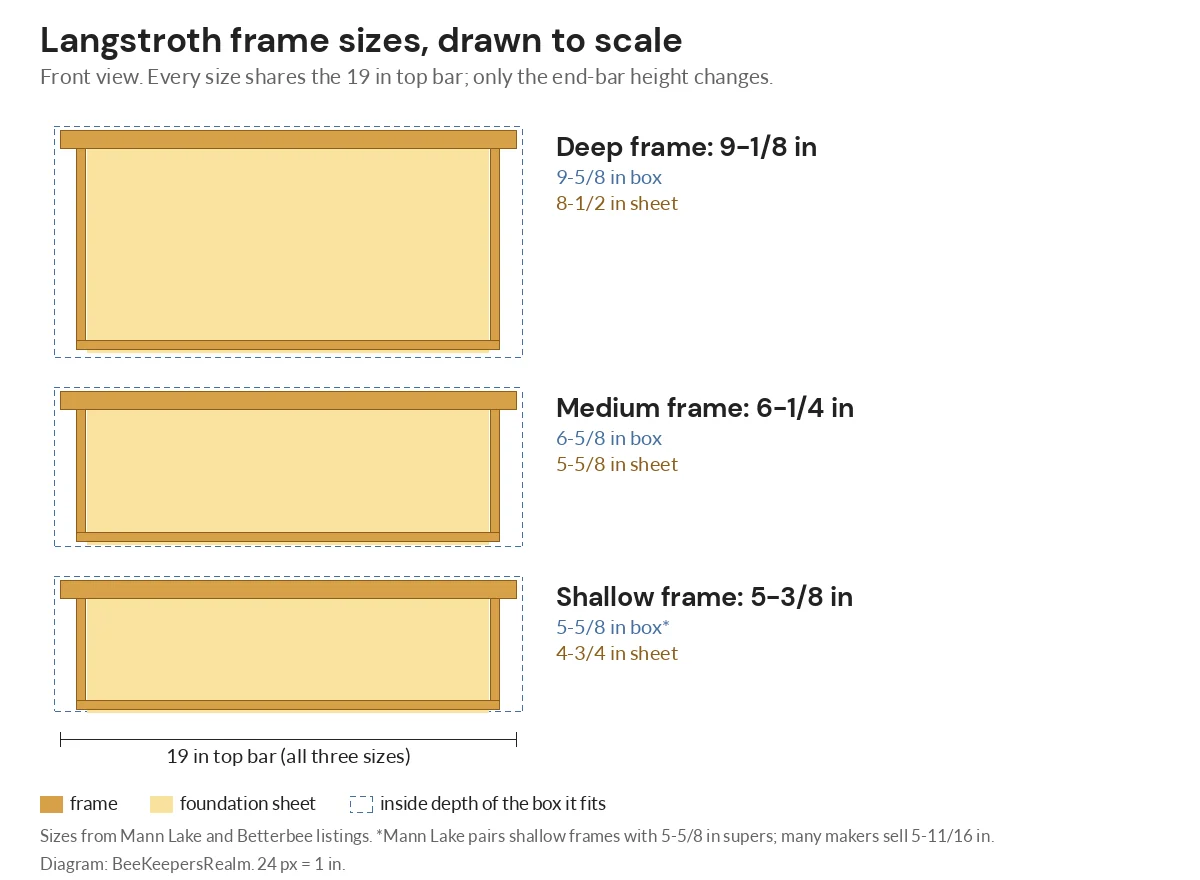 To-scale diagram of deep, medium and shallow Langstroth frames with box depths and foundation sheet heights