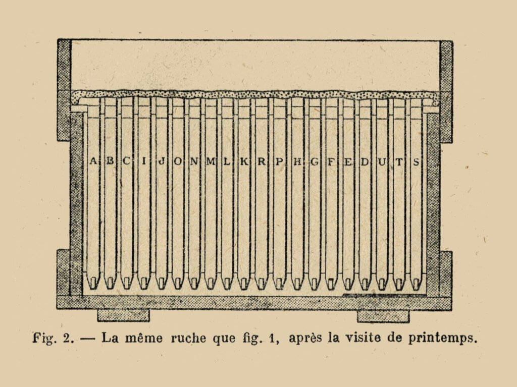 1897 engraving of the same Layens hive after the spring visit, with empty frames added and honey frames moved along the box