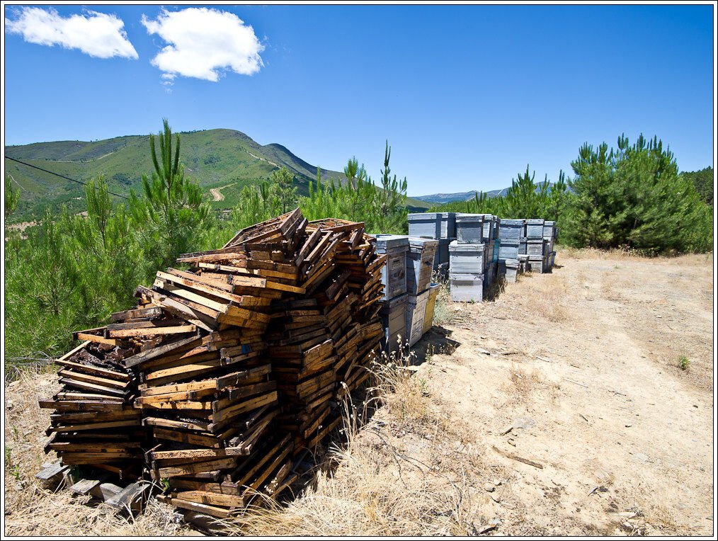 Stack of empty deep frames beside grey single-box hives at a migratory apiary in Las Hurdes, Extremadura, Spain