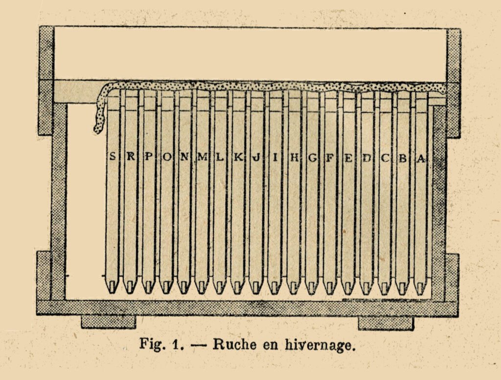 1897 engraving of a Layens hive after the autumn harvest, a cross-section showing eighteen deep frames