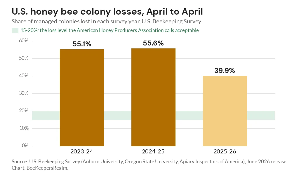 Bar chart of U.S. honey bee colony losses: 55.1% in 2023-24, 55.6% in 2024-25 and 39.9% in 2025-26