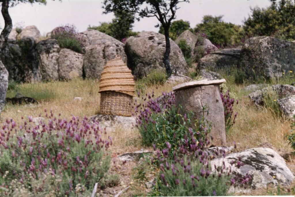 Photo of a traditional Spanish woven esparto grass hive and a cork bark hive standing among rocks and lavender