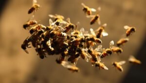 A swarm of bees in mid-flight, captured in a dramatic close-up