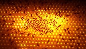 Heat mapping for brood pattern assessment