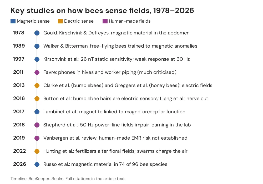 Timeline of key studies on bee electric and magnetic senses and human-made fields from 1978 to 2026