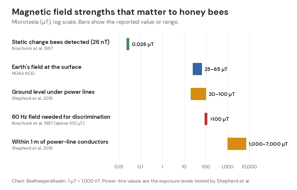 Log-scale chart comparing the 26 nT bee sensitivity, Earth's 25-65 µT field and power-line magnetic fields