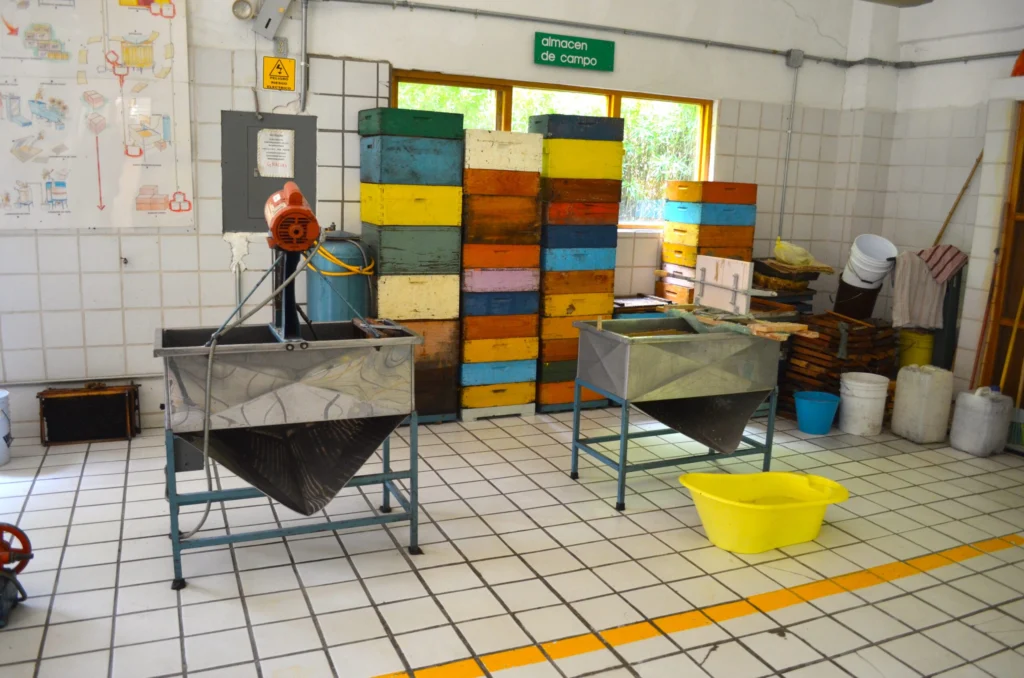 A tiled honey extracting room with two stainless uncapping tanks and stacked hive boxes behind them