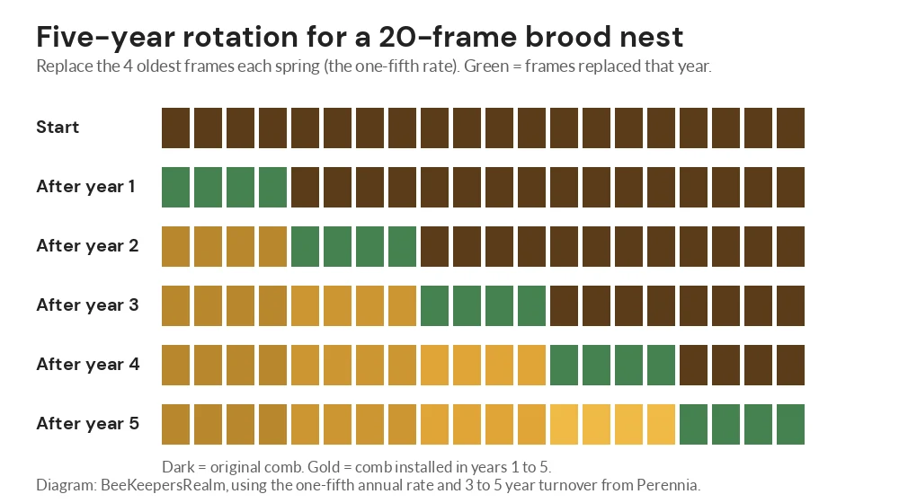 Diagram of a five-year comb rotation for a 20-frame brood nest showing four frames replaced each year