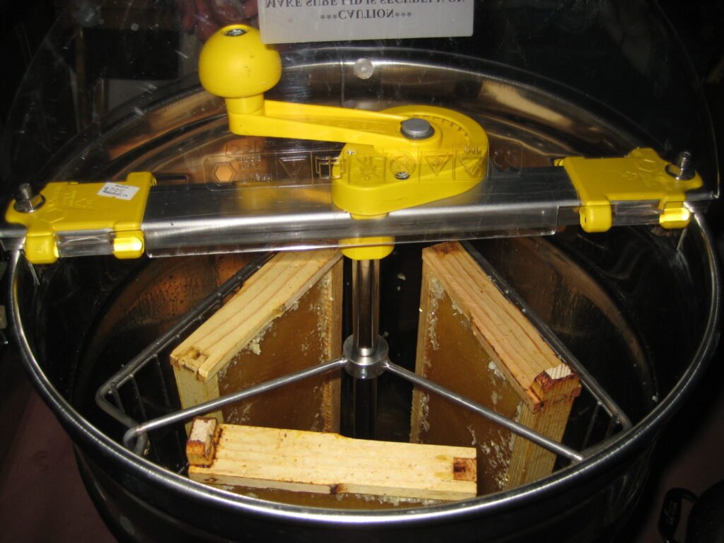 Uncapped frames loaded evenly in a hand-crank honey extractor basket, ready to spin inside the drum
