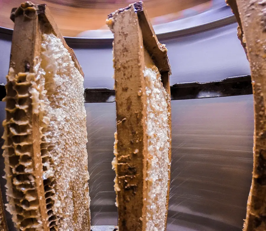 Inside a stainless honey extractor at a USDA lab, with uncapped honeycomb frames standing in the spinning racks