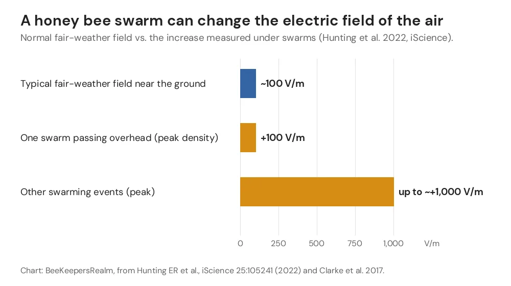 Bar chart comparing the 100 V/m fair-weather field with increases of 100 to 1,000 V/m under honey bee swarms