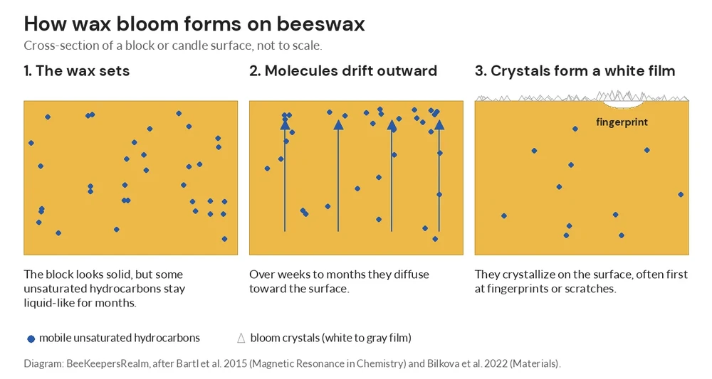 Three-panel diagram of hydrocarbons drifting to a beeswax surface and crystallizing into a white bloom film
