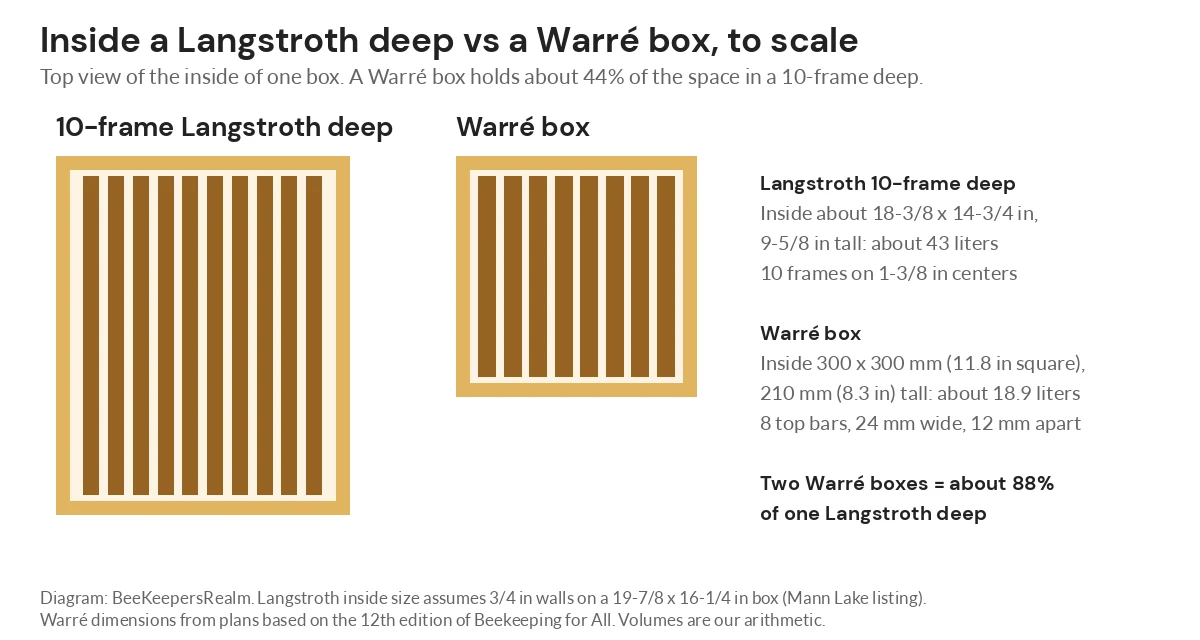 To-scale top view of a 10-frame Langstroth deep beside a smaller Warré box with eight top bars
