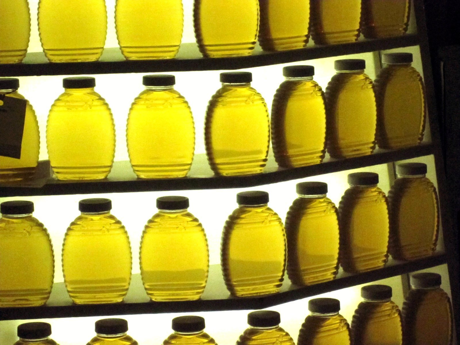 Photo of rows of clear, light amber honey jars backlit on shelves at a state fair honey display