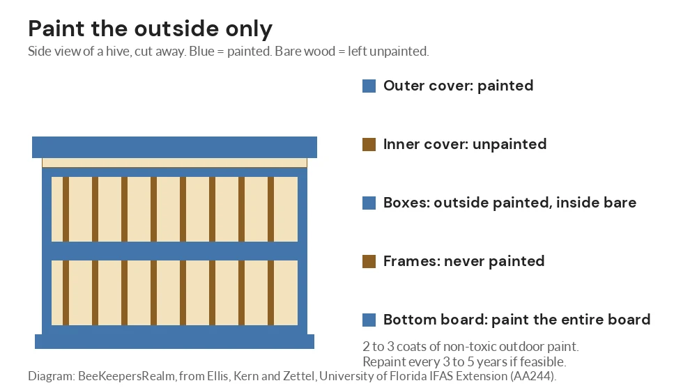 Diagram of a Langstroth hive showing painted outer surfaces and bottom board and bare interior walls, inner cover and frames