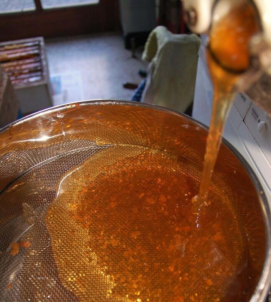 Photo of freshly extracted honey pouring through a coarse metal sieve into a bucket in a home extraction room