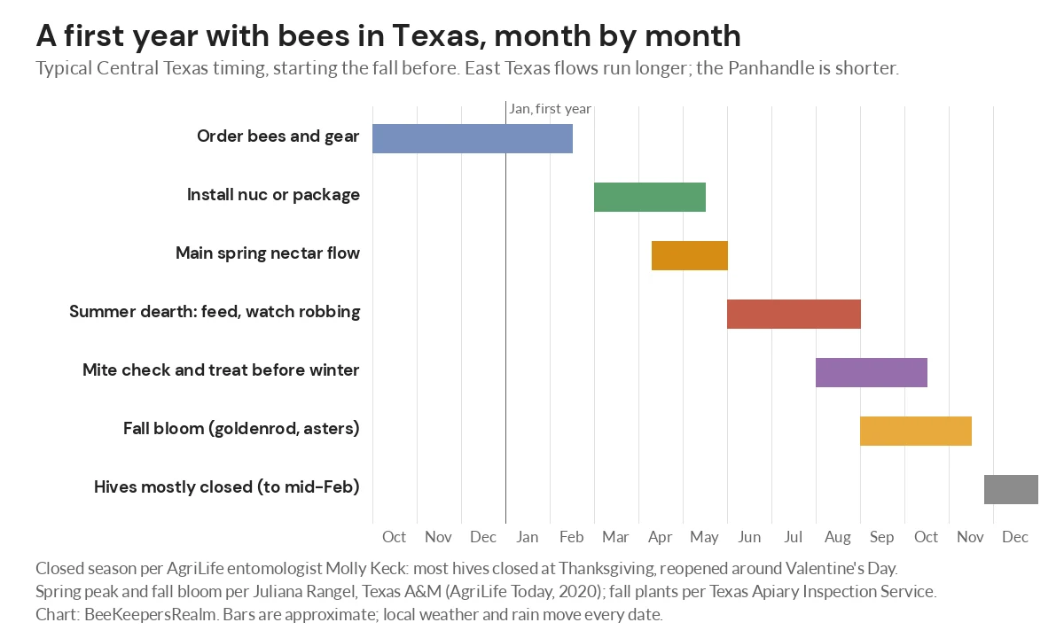Timeline chart of a first beekeeping year in Texas from ordering bees in fall to the summer dearth and closed winter hives