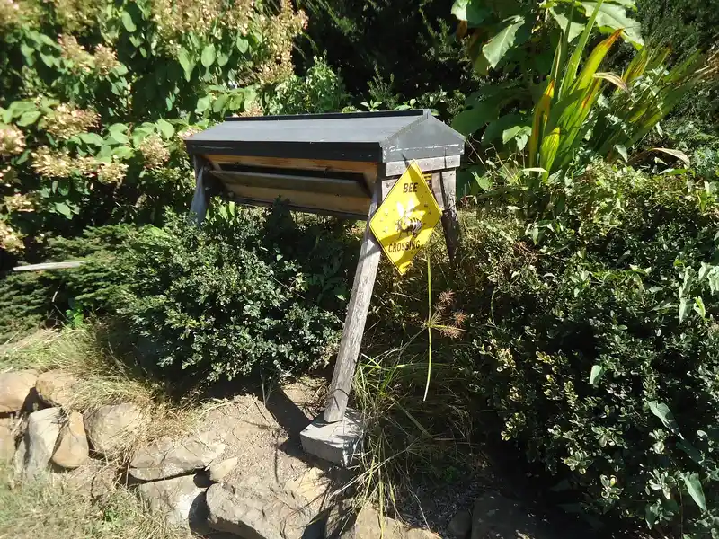 Top-bar hive with a sloped roof on wooden legs among shrubs at a pick-your-own farm in New Jersey