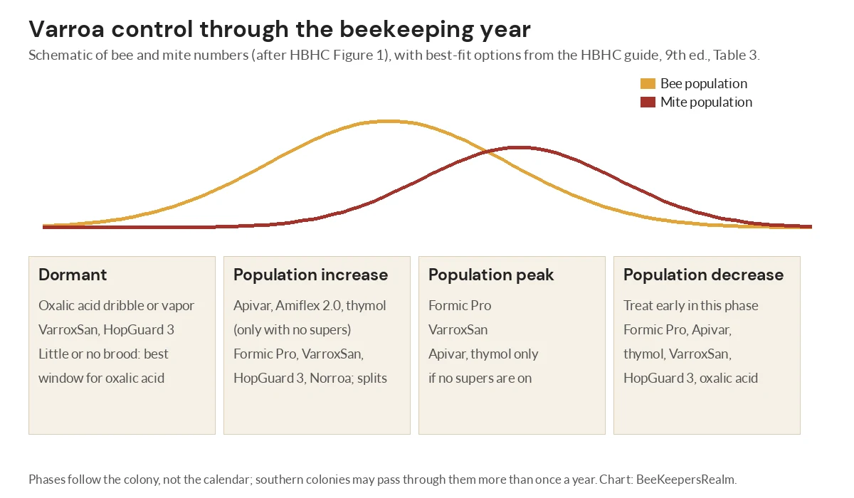 Diagram of bee and varroa mite populations across four seasonal phases with suggested control options for each