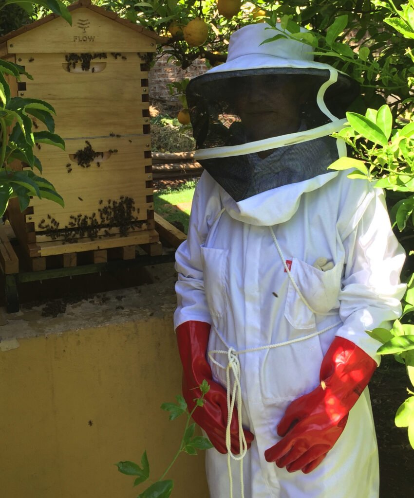 Photo of a beekeeper standing calmly beside an open hive, demonstrating the slow deliberate movement that keeps gentle colonies relaxed