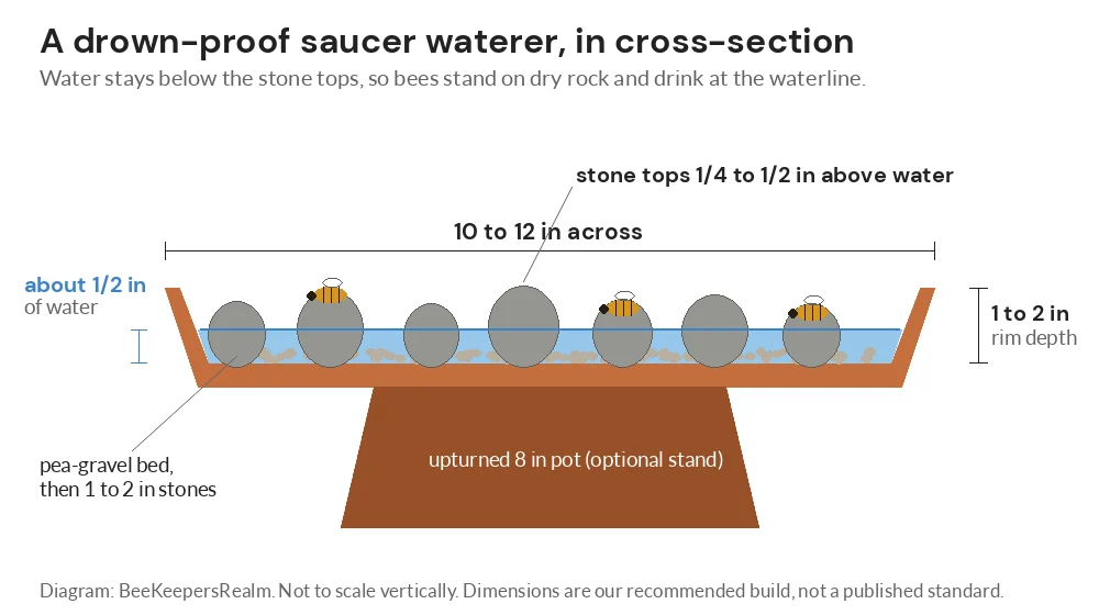 Diagram of a bee waterer in cross-section: 10 to 12 inch saucer, half an inch of water, stone tops just above the waterline