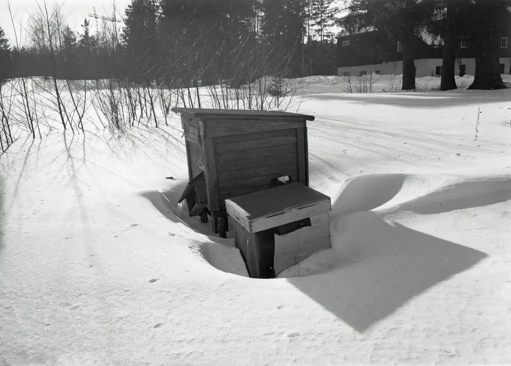 Black-and-white 1962 photo of a wooden beehive half buried in a deep snowdrift on a sunny day in Finland