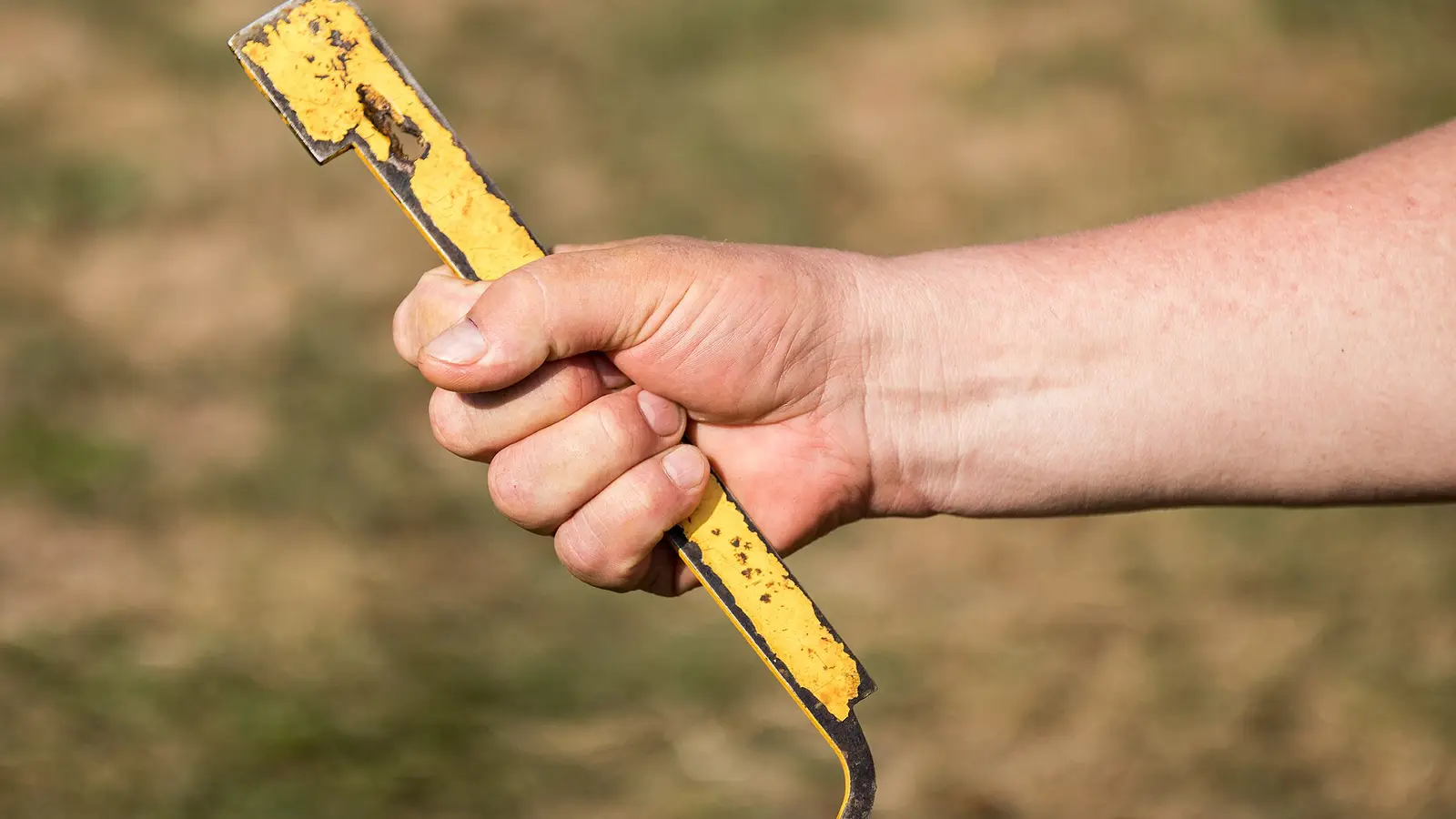 Close-up of a beekeeper's hand gripping a worn yellow hive tool with a hooked end, used to pry boxes and frames apart