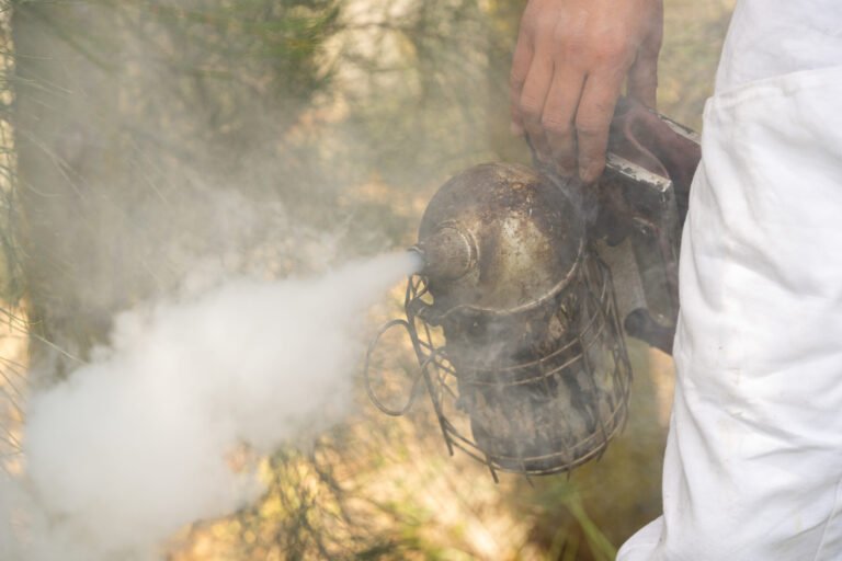 Beekeeper's hand holding a bee smoker that is puffing a dense jet of cool white smoke outdoors