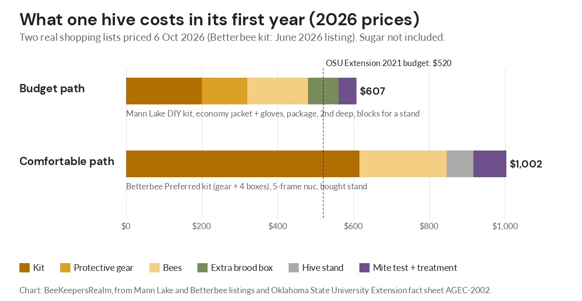 Stacked bar chart of first-year costs for one beehive: a budget path near $607 and a comfortable path near $1,002