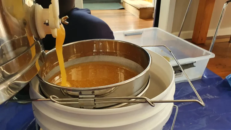 Honey running from an extractor's honey gate into a stainless double strainer set on a white bucket