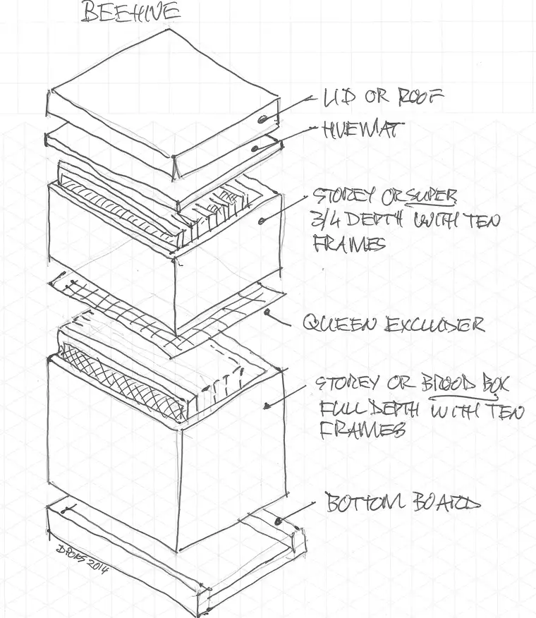 Hand-drawn exploded diagram of a Langstroth hive: lid, inner cover, super, queen excluder, brood box and bottom board
