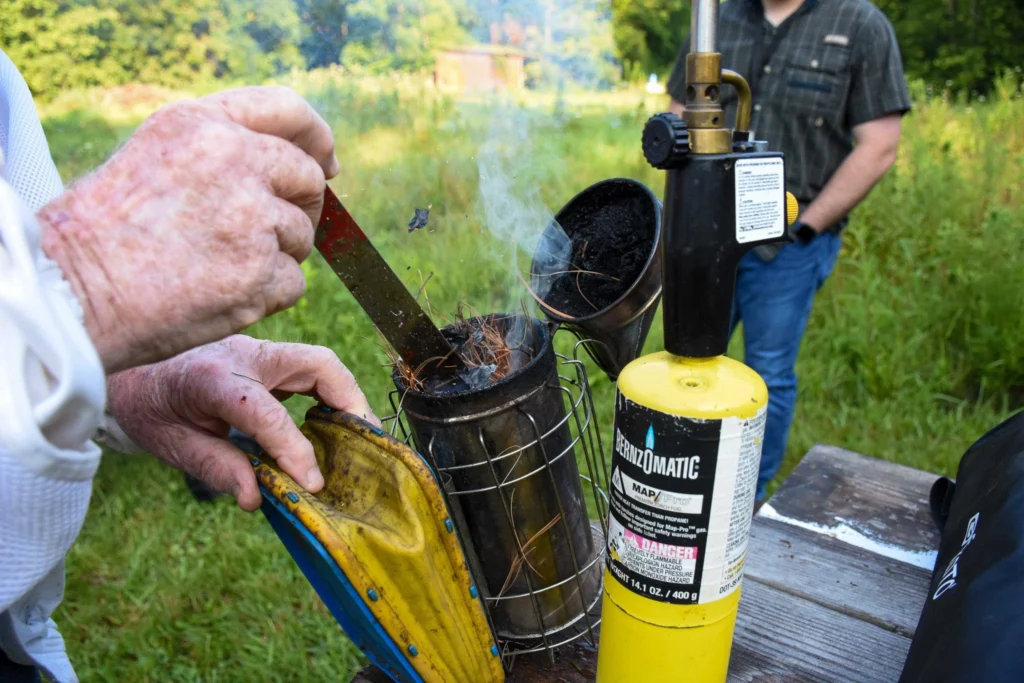 Beekeeper pressing pine needles and shavings into a smoking bee smoker with a hive tool, propane torch beside it