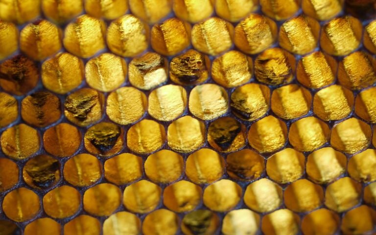 Backlit photo of empty honeycomb cells, several holding dark brown American foulbrood scale stuck to the cell walls