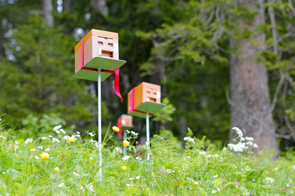 Photo of small Apidea mating nuc boxes mounted on posts among wildflowers at an isolated queen mating station