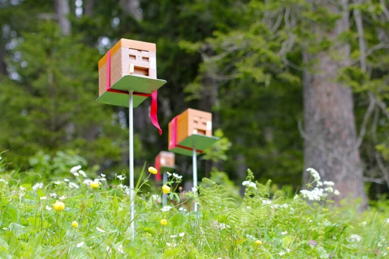 Photo of small Apidea mating nuc boxes mounted on posts among wildflowers at an isolated queen mating station