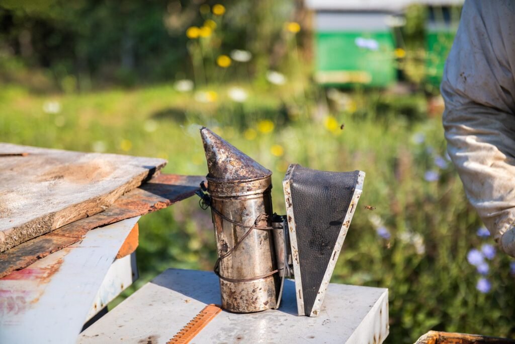 Photo of a lit stainless steel bee smoker with bellows resting on the lid of an open beehive