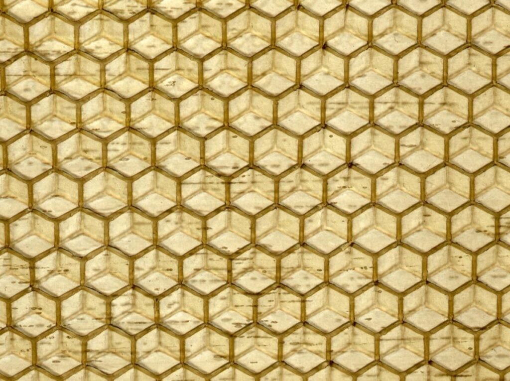 Close-up photo of a beeswax foundation sheet pressed with the hexagon pattern of cell bases