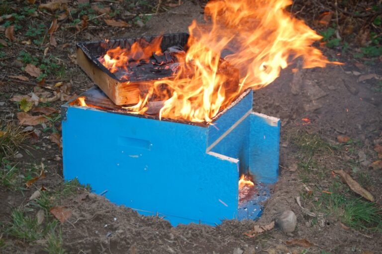 Photo of frames and comb from a hive with American foulbrood burning inside a blue wooden hive box in a pit