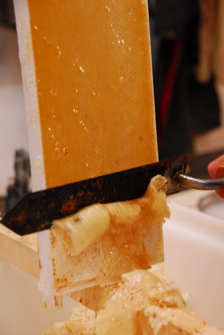 Photo of a heated uncapping knife with a dark, burnt crust on the blade slicing wax cappings off a honey frame