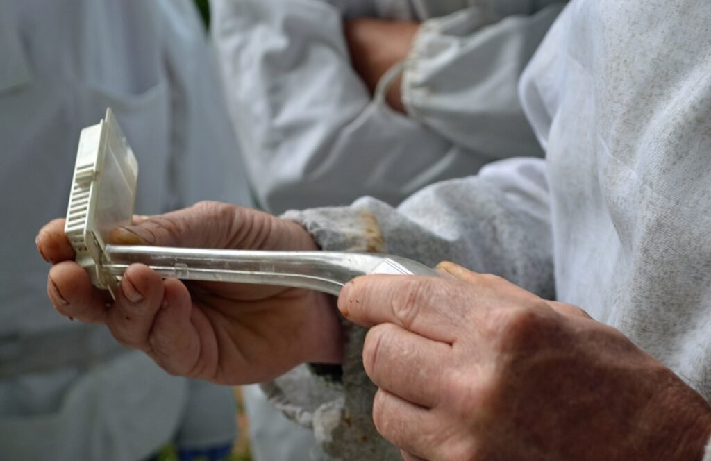 Photo of a beekeeper using a queen pluffer to guide a mated queen into a plastic cage for transport