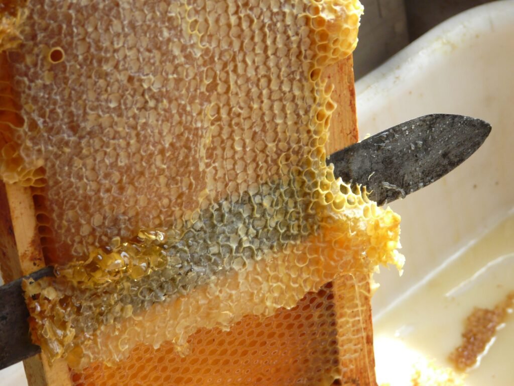 Close-up photo of an uncapping knife slicing the thin wax cappings off a frame of ripe honey