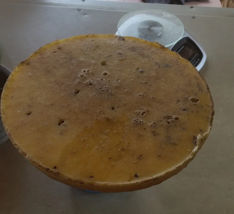 Photo of a cast disc of dark, unrefined beeswax pitted with air holes and flecks of debris on its surface