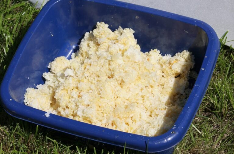 Photo of a blue plastic tub filled with pale crumbled beeswax cappings, set on grass ready for melting