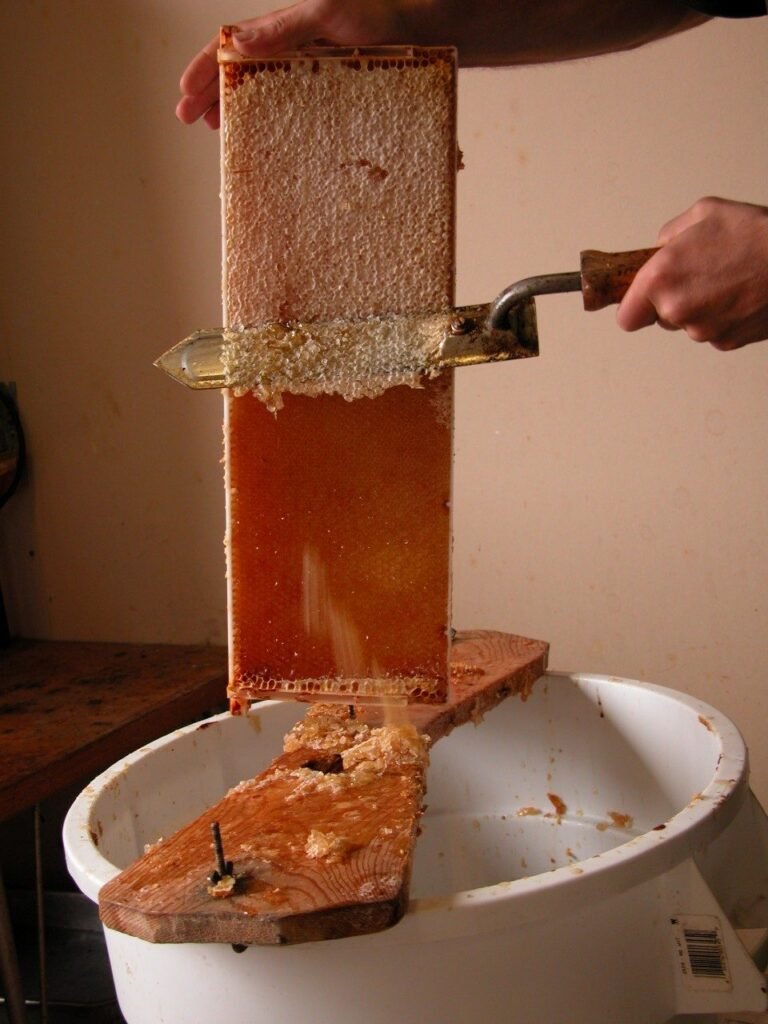 Photo of an electric hot uncapping knife cutting wax cappings from a honey frame over an uncapping tub