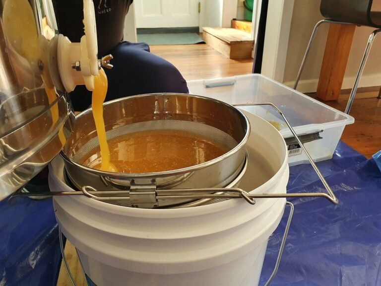 Photo of honey flowing from an extractor gate into a stainless steel double sieve set on a white plastic bucket