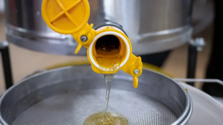 Honey flowing from the yellow gate of a stainless steel extractor into a mesh strainer on a bucket