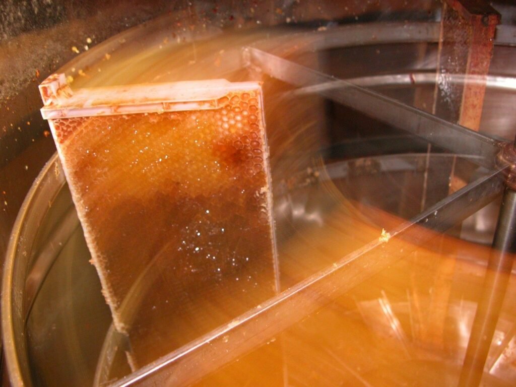 Photo inside a honey extractor, a spinning frame flinging honey against the steel drum wall